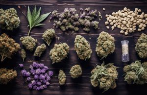 Cannabis - Hopkins Dispensary , MN