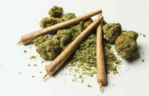 Pre-Rolls - Hopkins Dispensary , MN