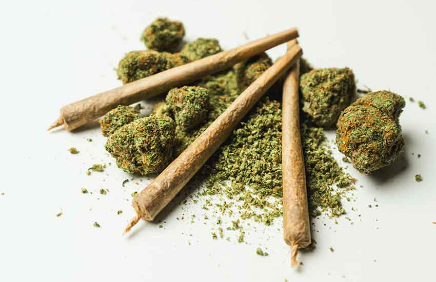 Premium Pre-Rolls at Hopkins Dispensary Minnesota