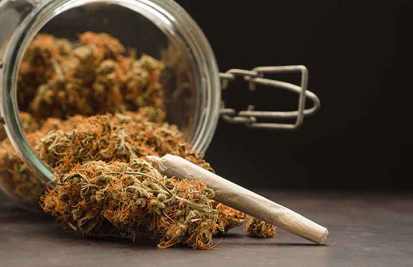 Cannabis Safety at Hopkins Dispensary