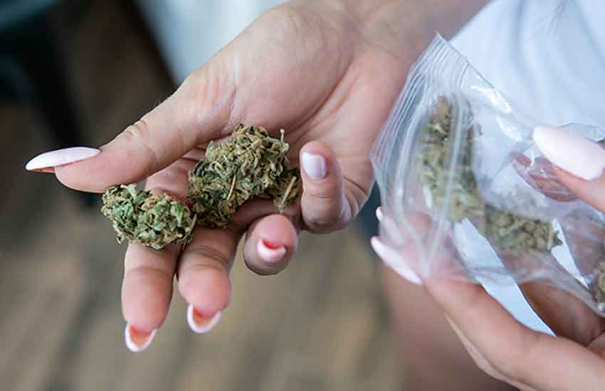 Cannabis Products Guide Hopkins Dispensary