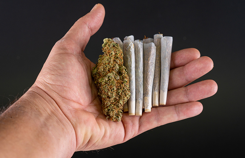 Multi-Pack Pre-Rolls Hopkins Dispensary