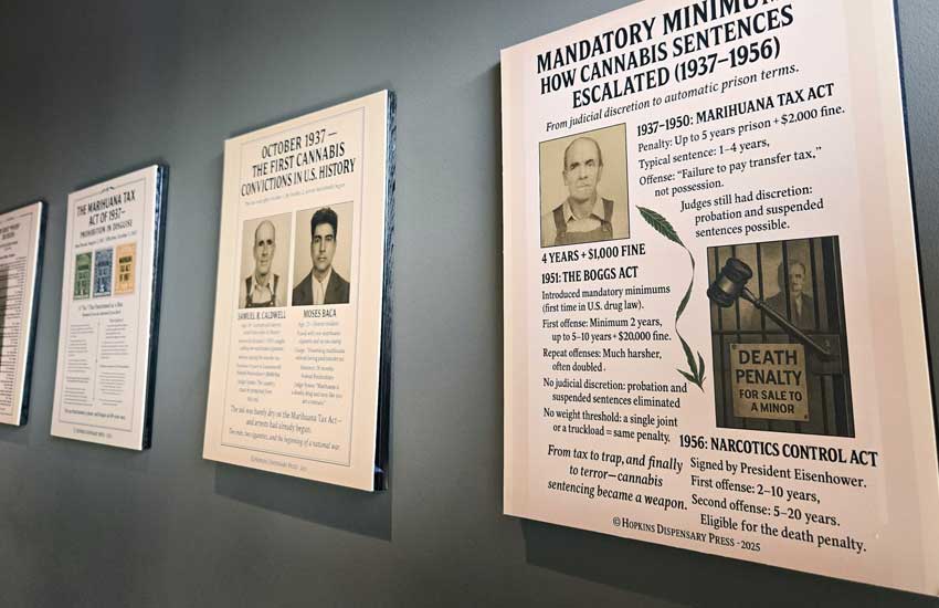 Hopkins Dispensary Community Opening